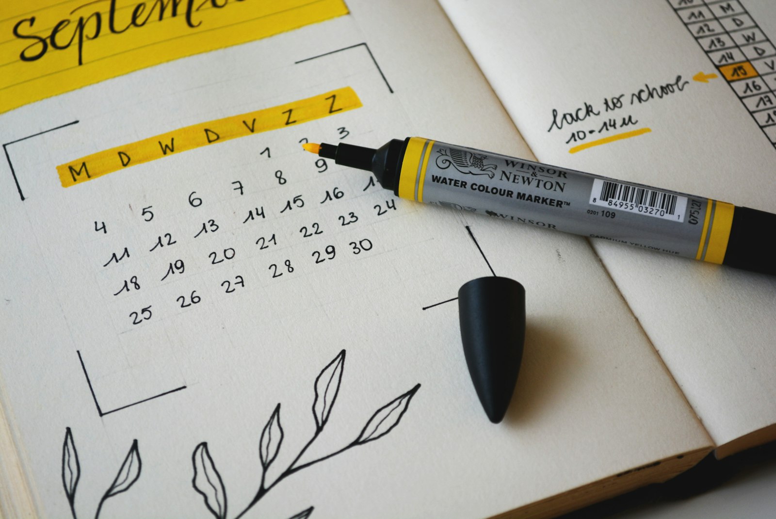 Age Calculator: How to Calculate Age Quickly and Accurately